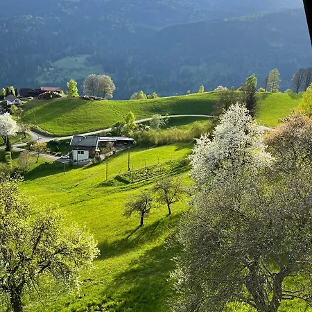 Pirkerhof Appartement *